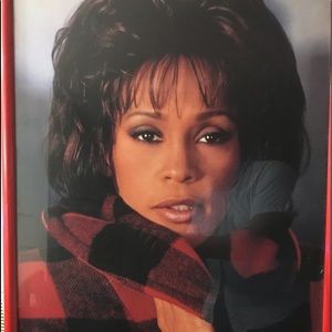 Whitney Houston 24 1/2 x 36 framed in red poster.